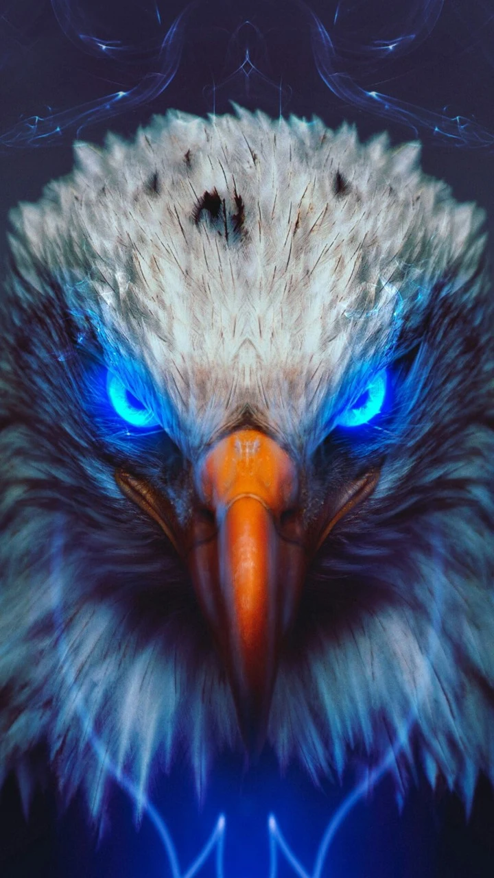 Eagle Wallpaper screenshot